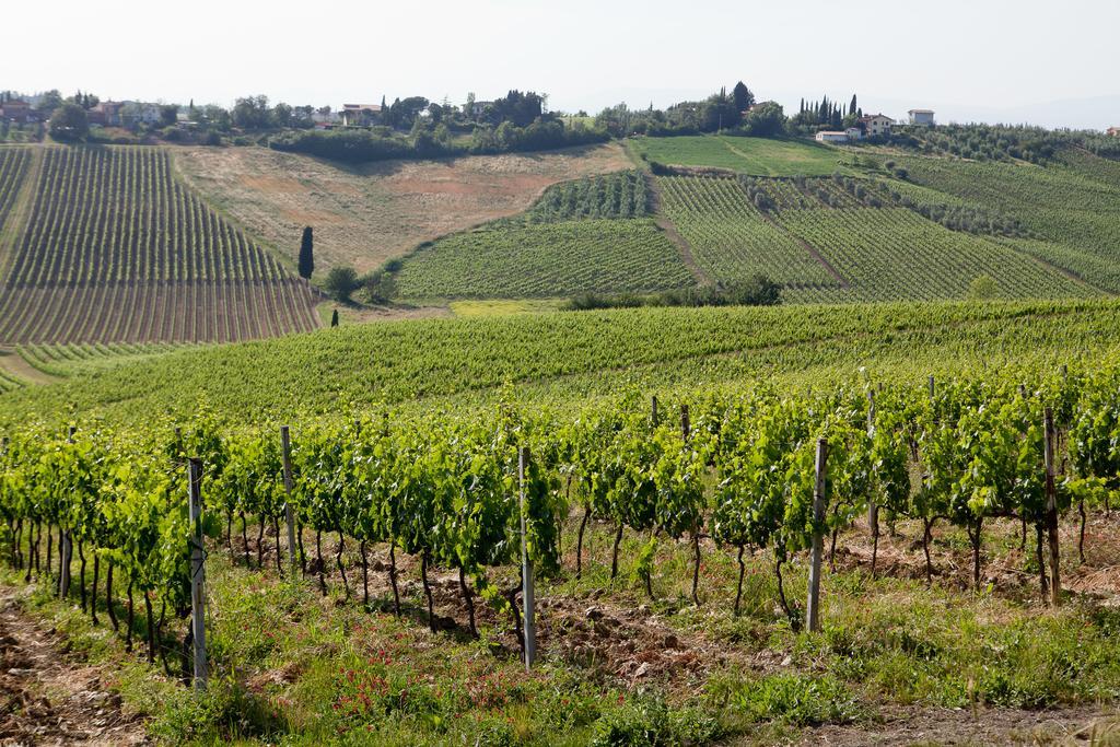 הוילה צ'רטו גואידי Agriturismo Borgo Vigna Vecchia מראה חיצוני תמונה